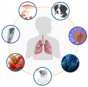 carpet-cleaning-pollutants-diagram
